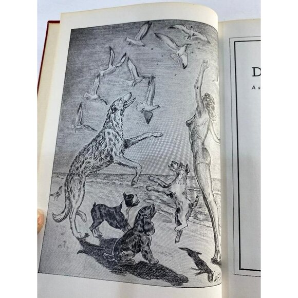 The Dog in Action For All Breeds McDowell Lyon 1950 HC Book VGC - Picture 8 of 12